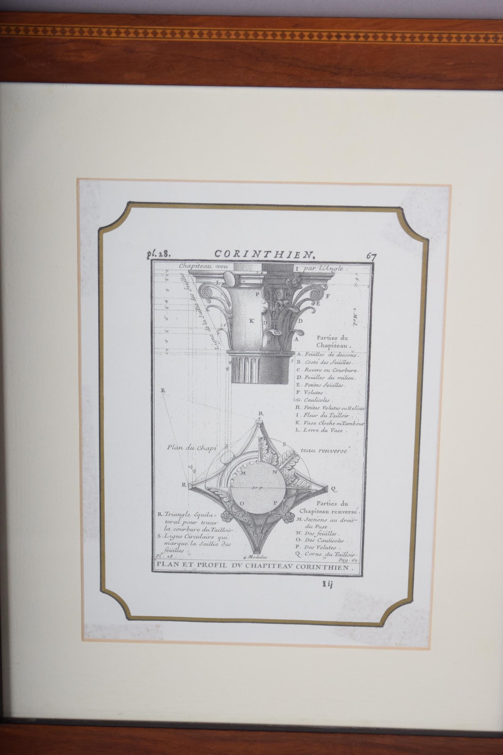 Set of 4 Vintage Architectural Engravings, Framed | Classical Column Studies, 19th Century | Neoclassical Wall Art, Wooden Frames