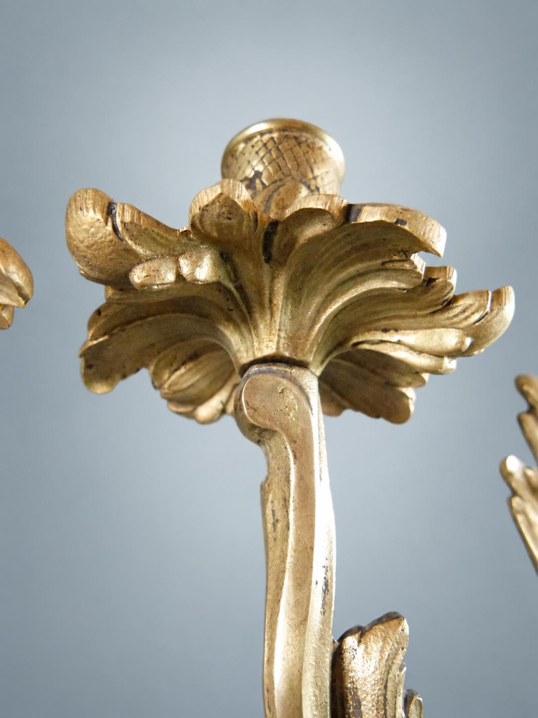 Pair of French Gilt Bronze Wall Sconces, Louis XV Rocaille, Unwired — France, Early 20th Century