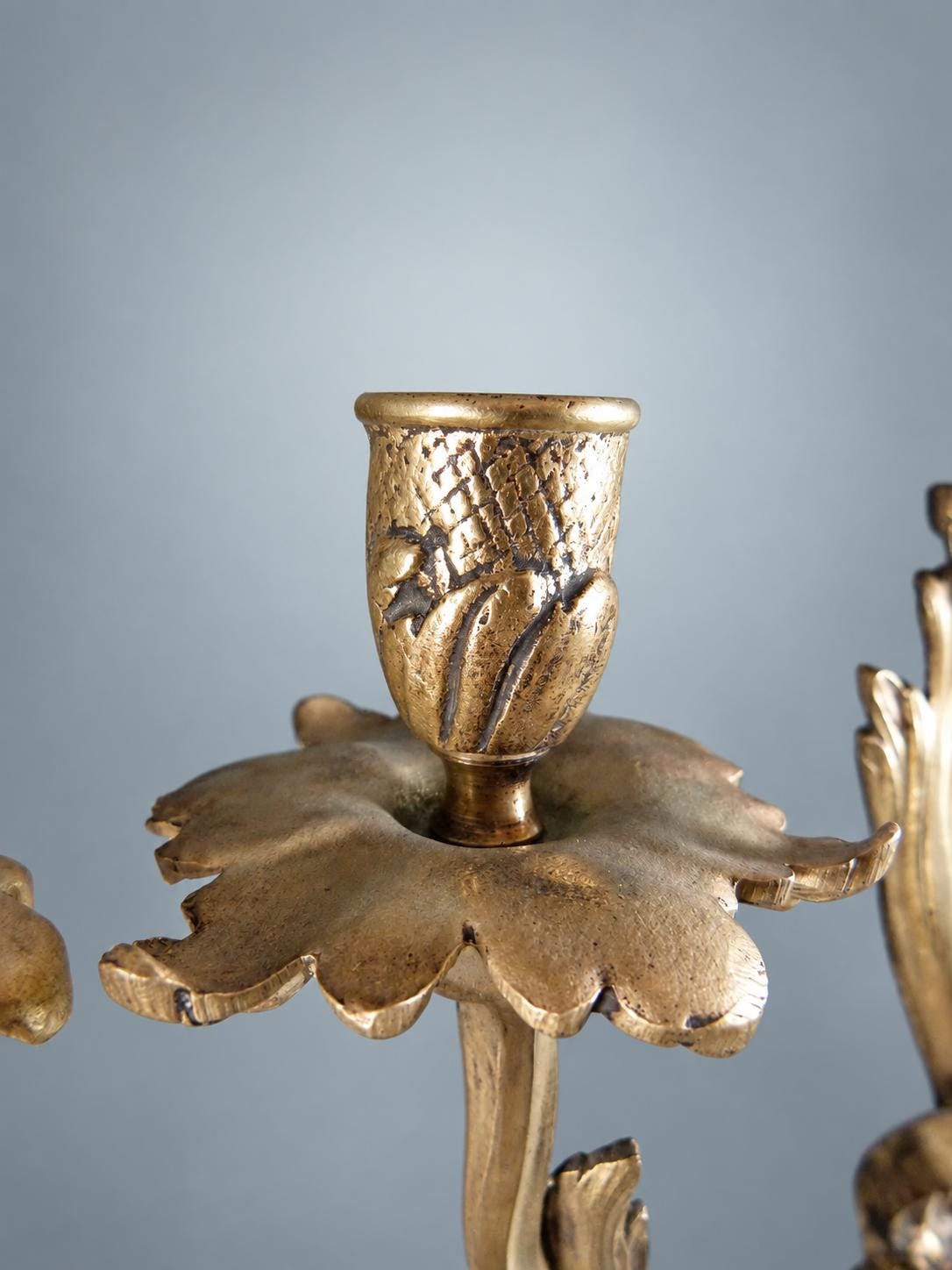 Pair of French Gilt Bronze Two-Arm Candle Sconces, Louis XV Rocaille Acanthus — France, Early 20th Century