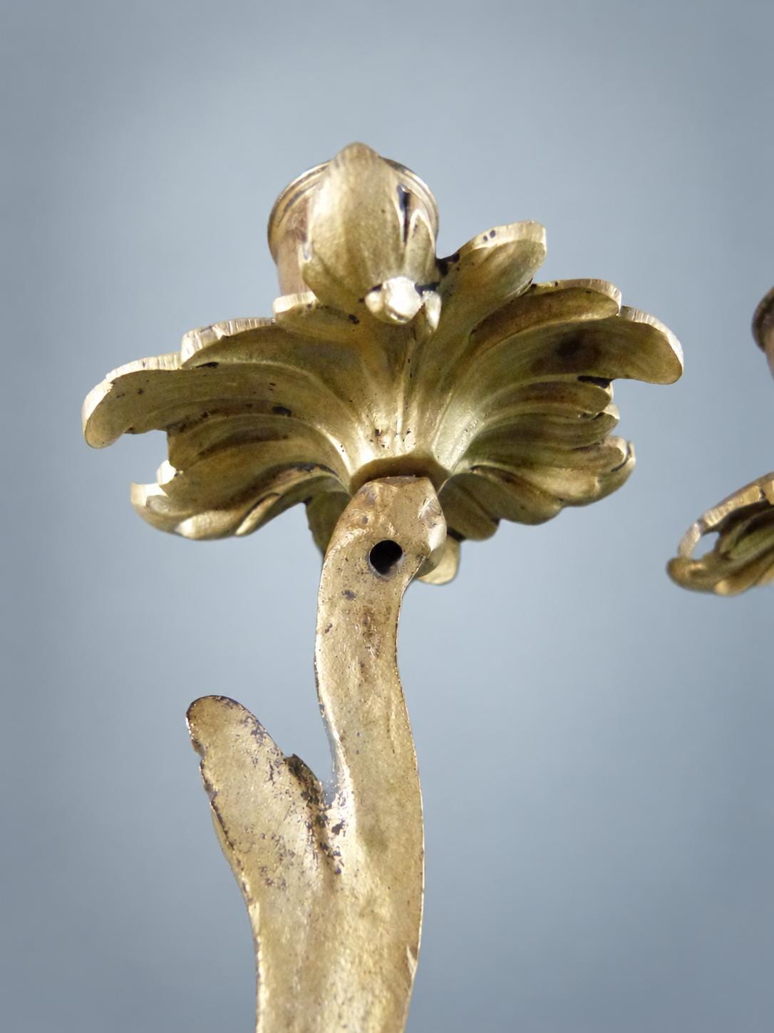 Pair of French Gilt Bronze Two-Arm Candle Sconces, Louis XV Rocaille Acanthus — France, Early 20th Century