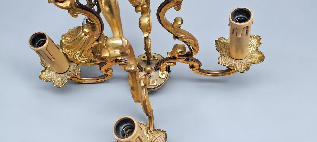 Vintage Louis XV Style Cage Chandelier, Gilt Metal with Shell Motifs and Scrolled Uprights, Four Lights, Chain and Canopy