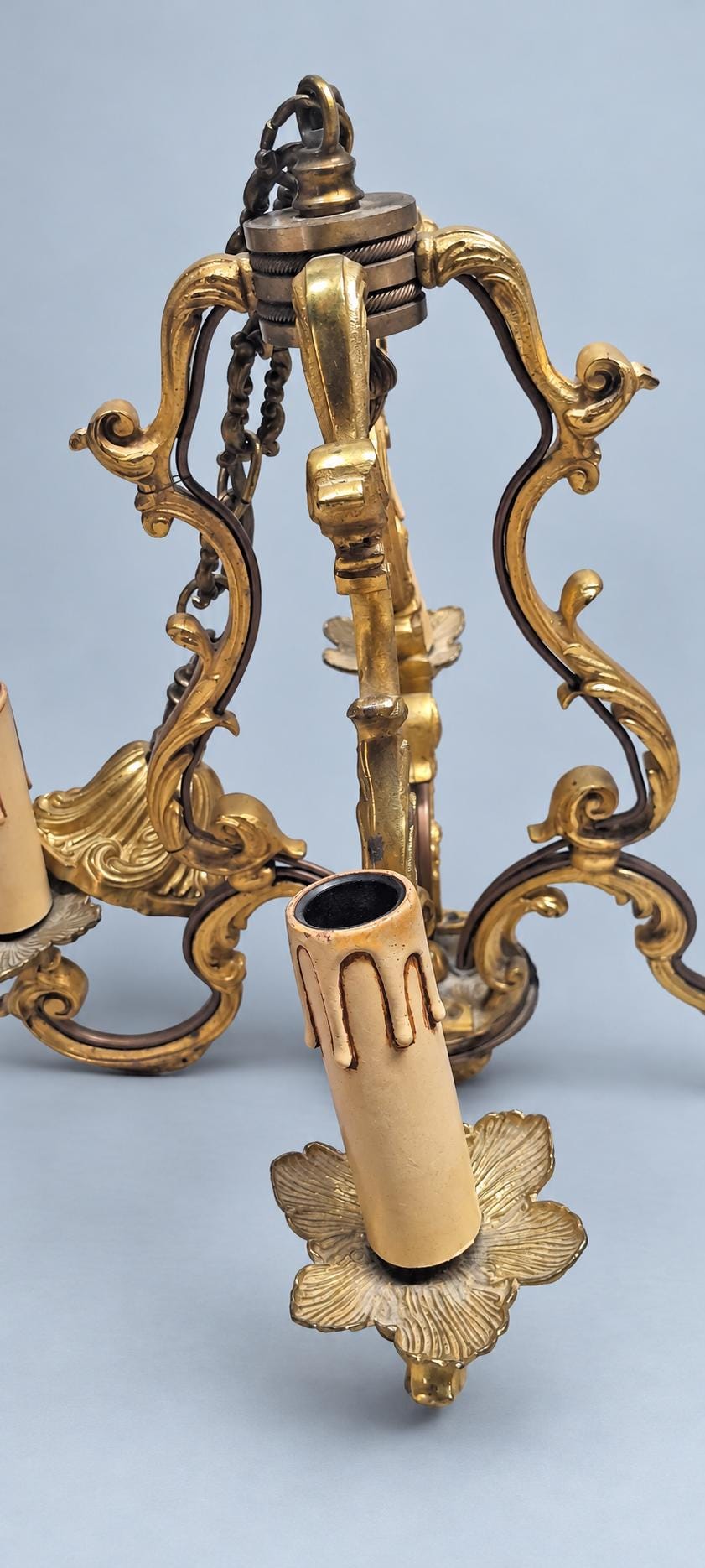 Vintage Louis XV Style Cage Chandelier, Gilt Metal with Shell Motifs and Scrolled Uprights, Four Lights, Chain and Canopy
