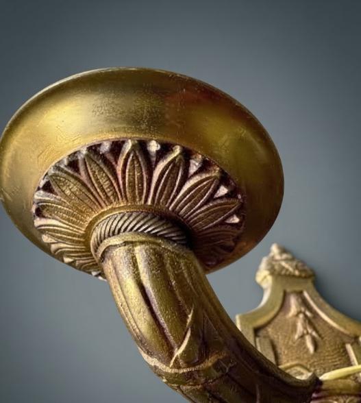 Pair of Louis XVI Style Two-Arm Wall Sconces, Gilt Metal with Acanthus Arms and Shield-Shaped Back Plates