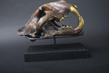 Bronze-Finished Big Cat Skull Sculpture, Gothic Decor Piece