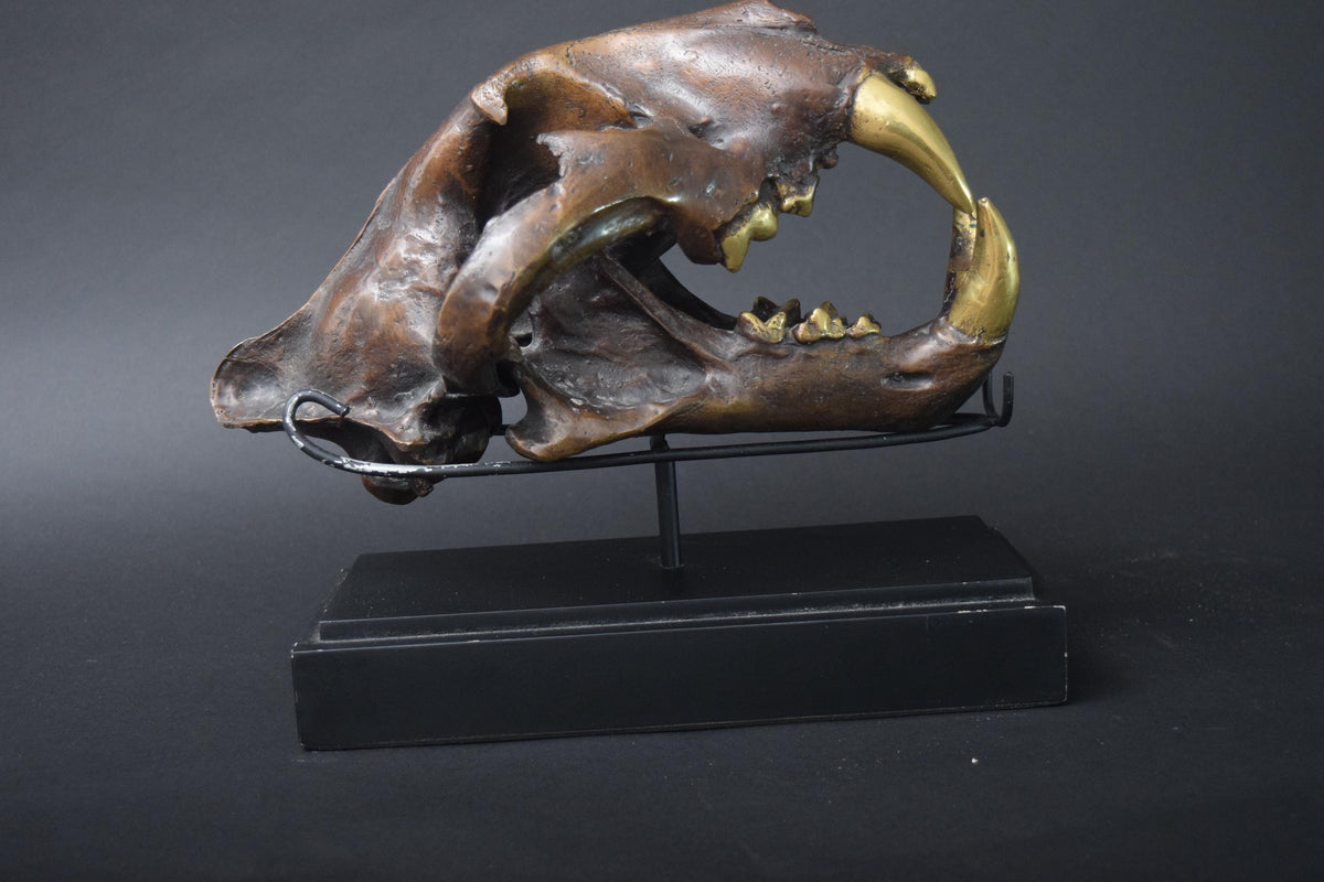 Bronze-Finished Big Cat Skull Sculpture, Gothic Decor Piece