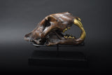 Bronze-Finished Big Cat Skull Sculpture, Gothic Decor Piece