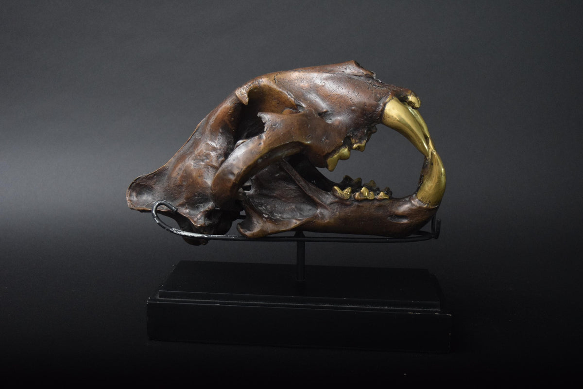 Bronze-Finished Big Cat Skull Sculpture, Gothic Decor Piece