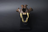 Bronze-Finished Big Cat Skull Sculpture, Gothic Decor Piece