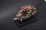 Bronze-Finished Big Cat Skull Sculpture, Gothic Decor Piece