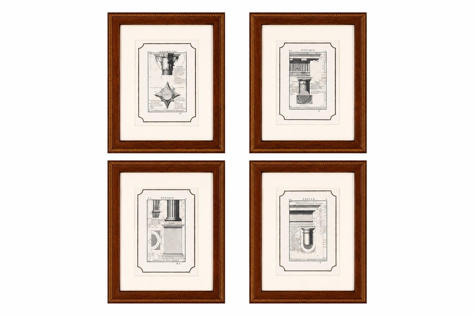 Set of 4 Vintage Architectural Engravings, Framed | Classical Column Studies, 19th Century | Neoclassical Wall Art, Wooden Frames