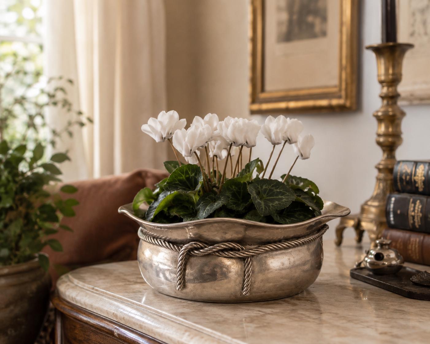Vintage EPNS Silver Cache Pot, Silver Plated Planter, Decorative Metal Planter, Rope Edge Planter, Vintage Home Décor