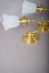 Vintage Brass Wall Sconces, Frosted Textured Tulip Glass Shades, Pair