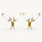 Mid Century Wall Sconces Pair, Double Brass Sconces with White Glass Cone Shades — French, 1960s