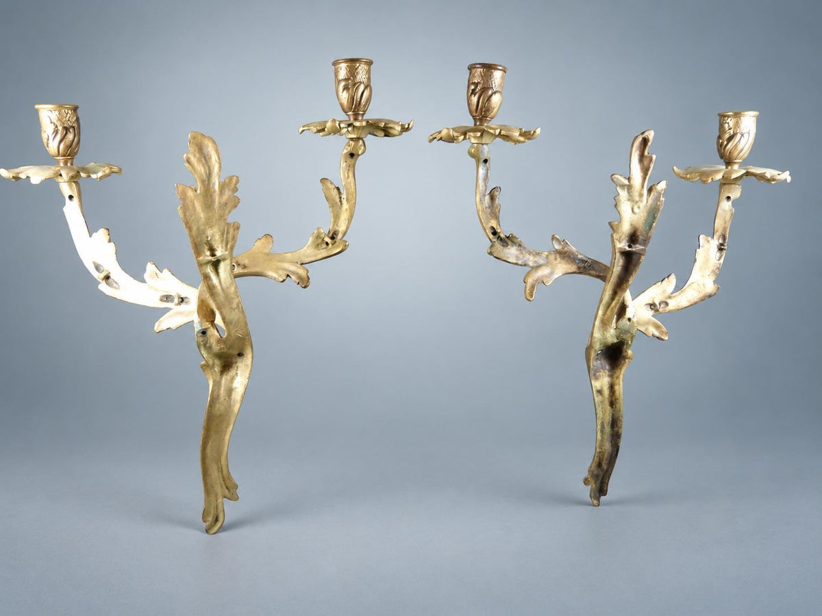 Pair of French Gilt Bronze Two-Arm Candle Sconces, Louis XV Rocaille Acanthus — France, Early 20th Century