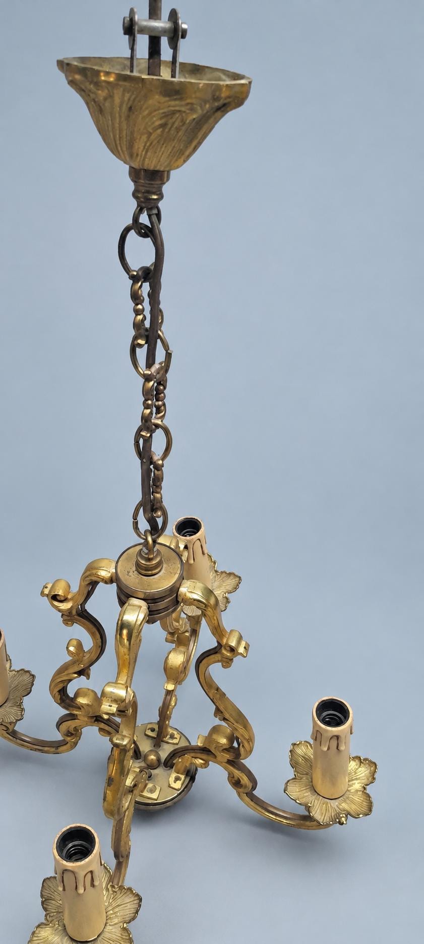 Vintage Louis XV Style Cage Chandelier, Gilt Metal with Shell Motifs and Scrolled Uprights, Four Lights, Chain and Canopy