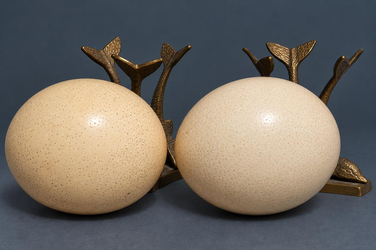 Pair of Vintage Ostrich Eggs on Brass Dolphin Stands, Three Leaping Dolphins Tripod Bases, Hollywood Regency Curiosity