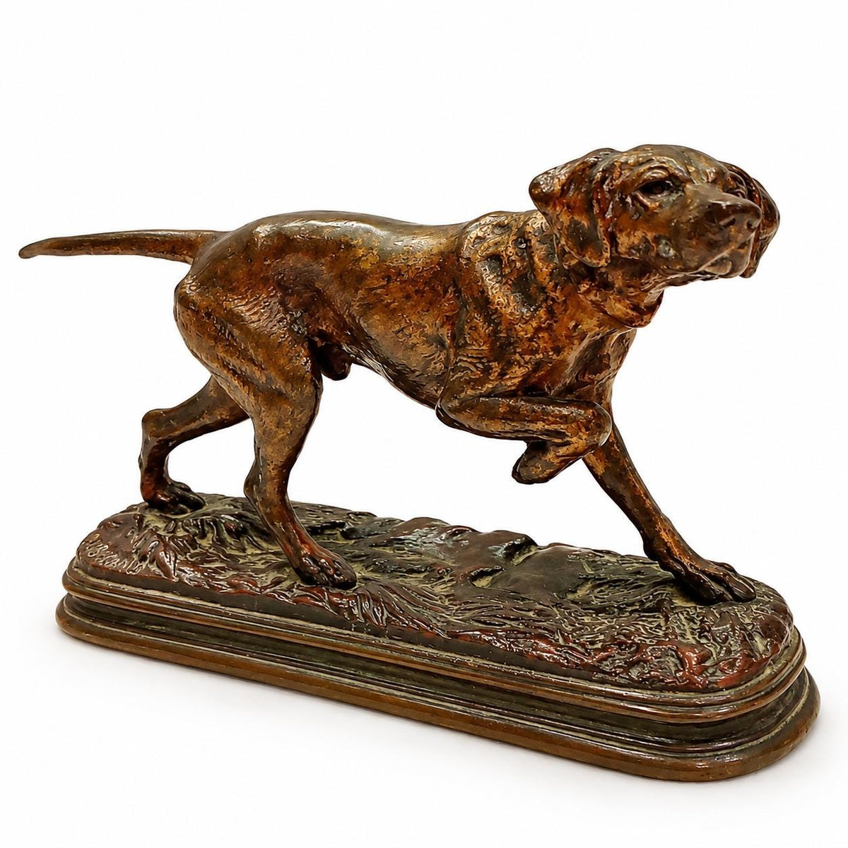 Antique French Animalier Bronze Hunting Dog on Point After Dubucand, Head Turned, Multi-Tone Patina, Naturalistic Base