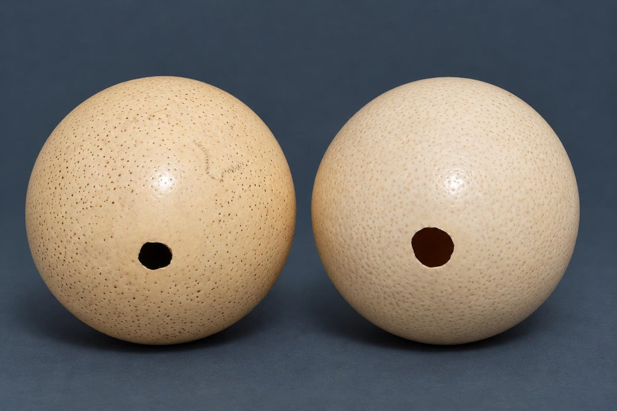 Pair of Vintage Ostrich Eggs on Brass Dolphin Stands, Three Leaping Dolphins Tripod Bases, Hollywood Regency Curiosity